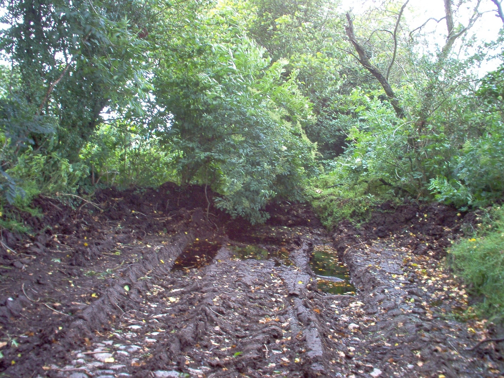 20110000 LA PAVÉE Pont-Farcy 29-2.jpg - IM000294.JPG